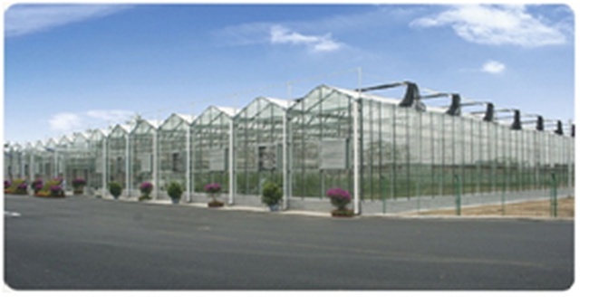Промышленные и фермерские теплицы для выращивания фруктов, ягод, овощей