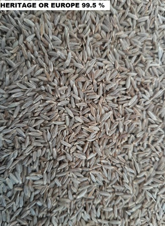 CUMIN SEEDS 99% purity Singapore European
