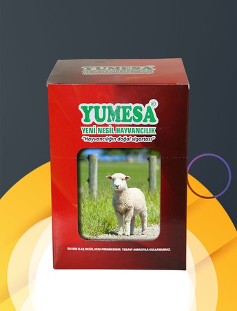 Non-Stop Digestive For Yeanling