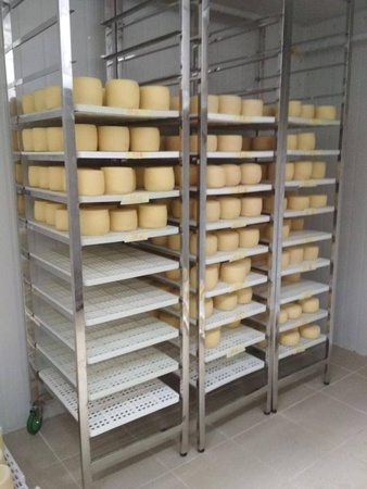 İtalyan sert peynirleri