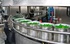Линии для производства овощных консервов "под ключ"