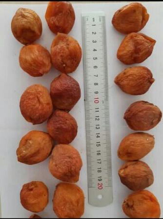 Dried apricot