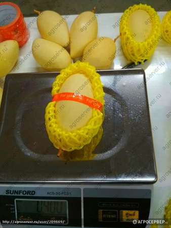 Манго Тайланда Нам Док Май