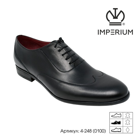 Мужская обувь