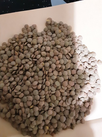 Зелёная чечевица