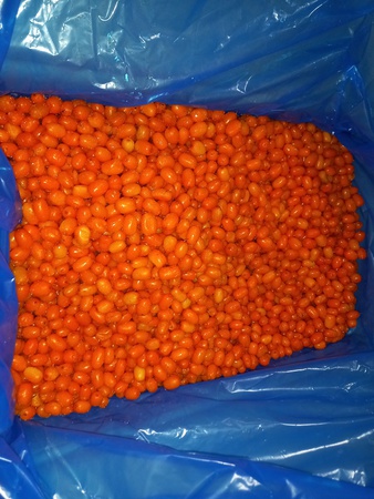 Замороженная облепиха