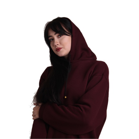 Модель №3004