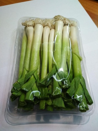 Чеснок зелёный молодой