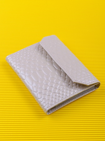 Passport cover + auto documents AFT-64