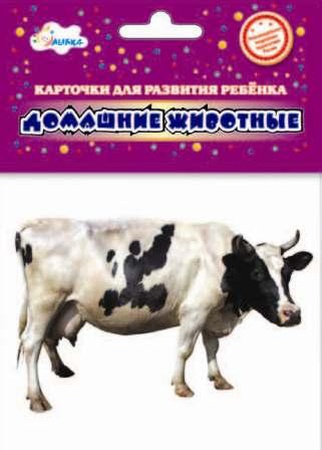 Bebek Gelişim Kartları