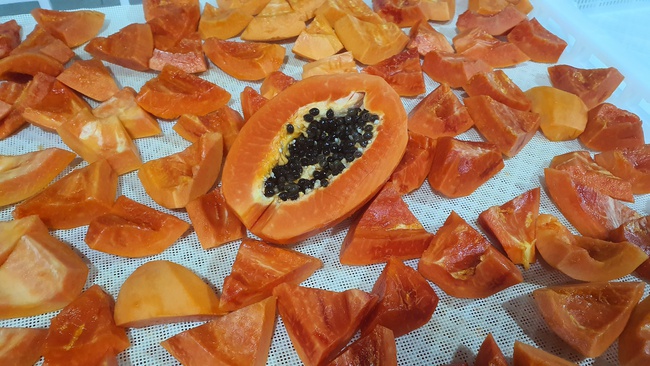 Папайя заморозка Оптом. Прямая поставка с завода