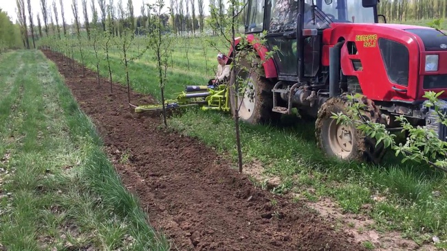 ПОЧВООБРАБАТЫВАЮЩАЯ ФРЕЗА CALDERONI ДЛЯ РАБОТЫ В ПРИСТВОЛЬНОЙ ПОЛОСЕ