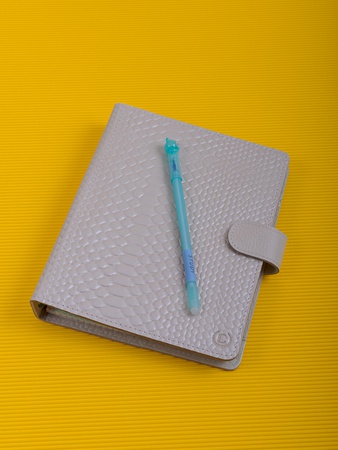 Notebook diary for replaceable blocks, cover EJT