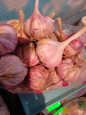 Чеснок красный