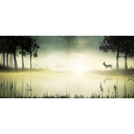 Пробуждение / 3 полосы