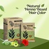 Nisha Naturemate Natural Henna-Based Hair Color 60g - Original Black | Ammonia-Free, Henna Herbs for Healthy Hair