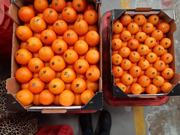 Mandarins from Morocco