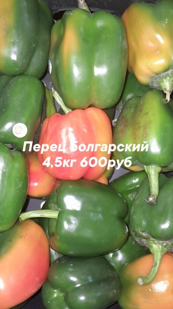 Оптом ягоды, фрукты и овощи