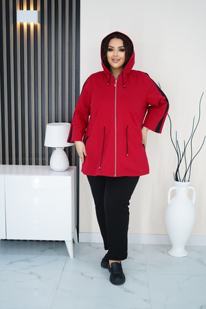 Спортивка №9485/1