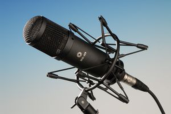 Микрофон Октава МК 319