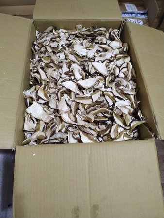 Сушеные белые грибы боровики Сибирские