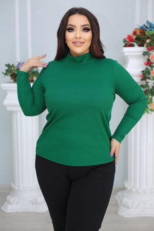 Водолазка №0306