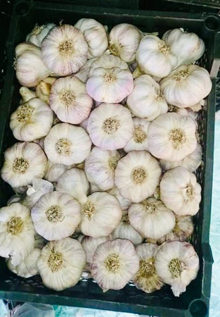 Фрукты, овощи, орехи, шафран