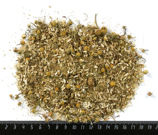 Ромашка цветки цельные Египет