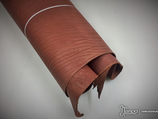 Вороток рыжий, в виде краста