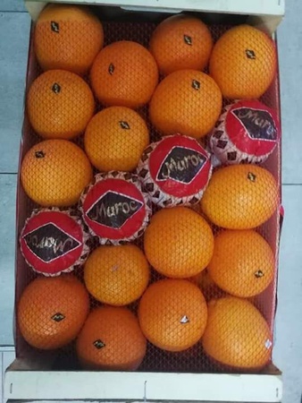 Свежие фрукты и овощи из Марокко