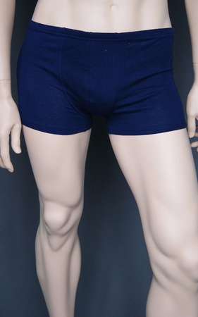 Erkek külot sanatı. T-875