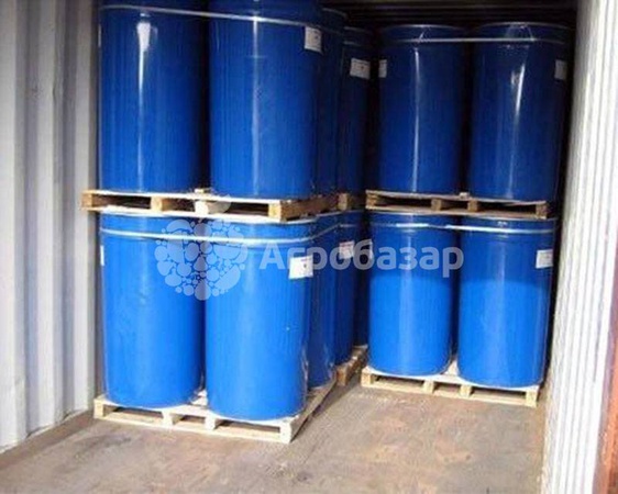 Tomato paste in barrels 36-38% brix. Iran
