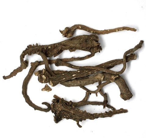 Laurel leaf sun machine dried Georgia