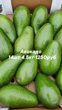 Оптом ягоды, фрукты и овощи