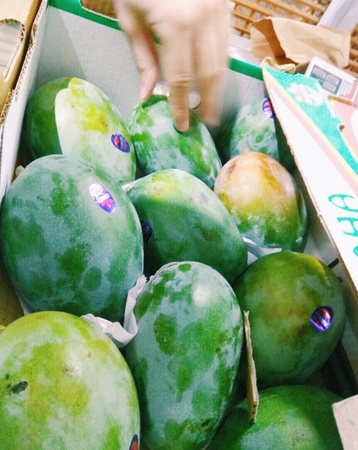 манго сорт кейт