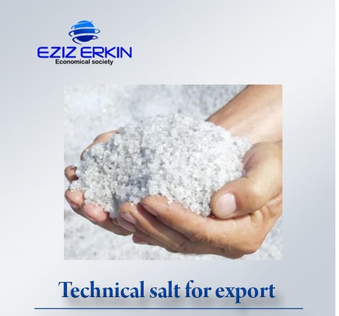 Salt الغذاء ، أقراص ، التقنية