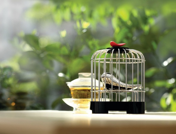 ЗАВАРНИК ДЛЯ ЧАЯ TEA MATTER