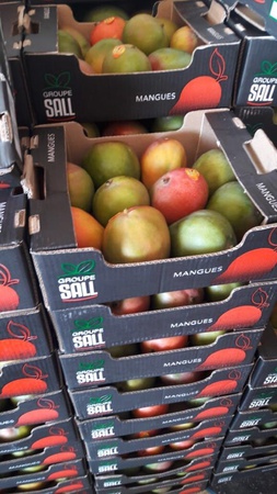 Свежие фрукты и овощи из Марокко