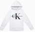 Худи и свитшоты Calvin Klein