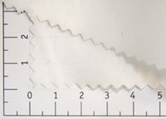Ткань курточная молочный