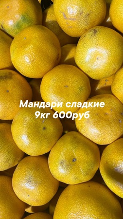 Оптом ягоды, фрукты и овощи