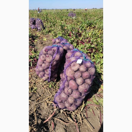 Trading House "Zorya Plus"