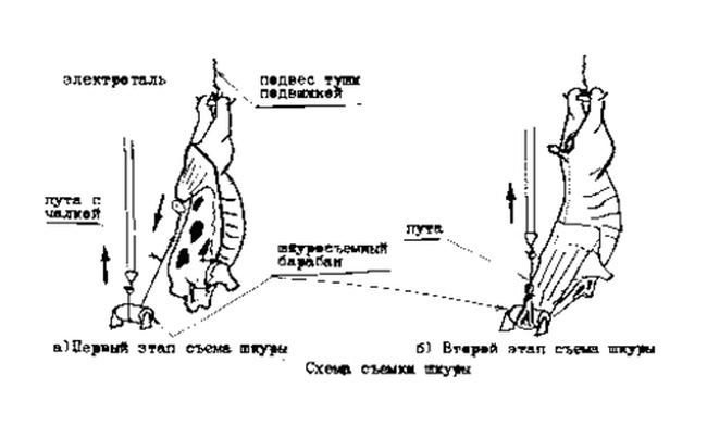 ШКУРОСЪЕМНЫЙ АГРЕГАТ ПМ-ФАШ