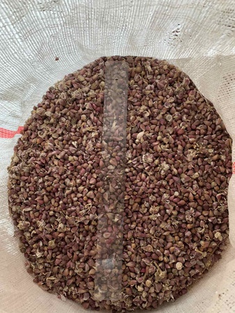 Торговый Дом "Зоря Плюс"