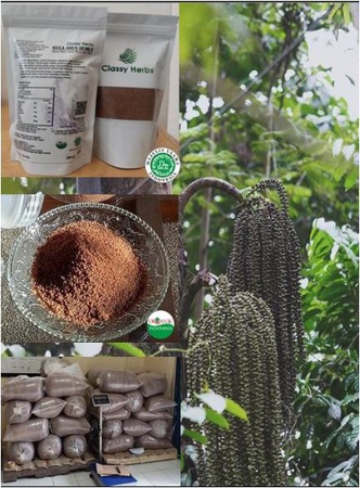 GRANULATED ORGANIC ARENGA SUGAR & GRANULATED ORGANIC COCONUT SUGAR