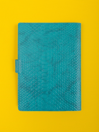 Папка органайзер для документов, семейные документы ПДТ-400