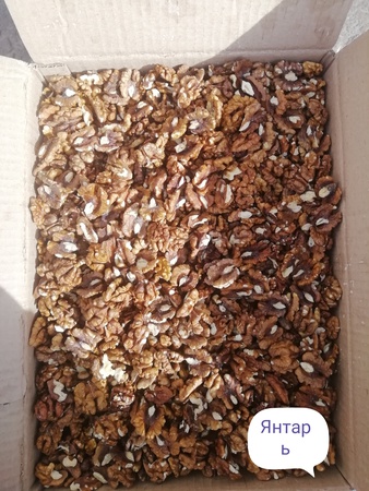 Грецкий орех ядро