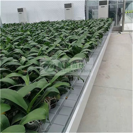 Agricultural greenhouse hydroponic system for growing strawberries and more