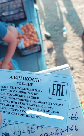 Продаю абрикос оптом с доставкой или без