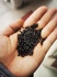 Recycled PA6 Black Unfilled High Gloss Injection Molding Grade PA6 Granules Raw Material